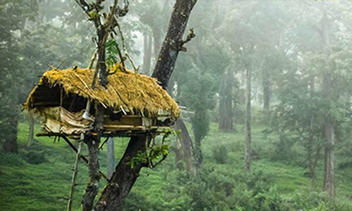 Kairali Ayurvedic Group, Entrance of Kairali - The Ayurvedic Healing Village